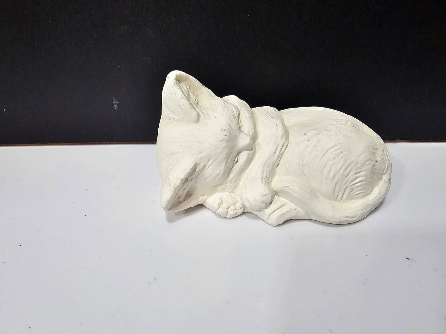 Small Sleeping Cat