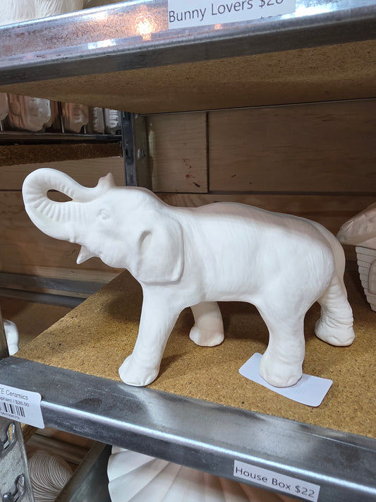 Small Elephant