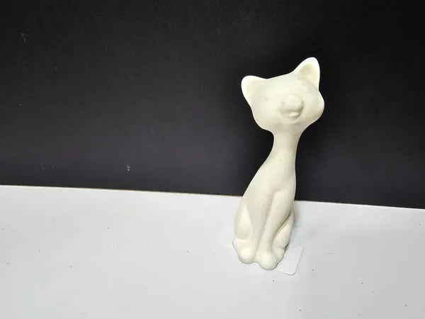 Stoic Cat