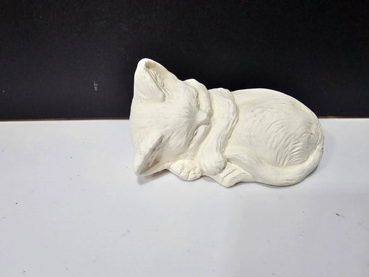 Small Sleeping Cat