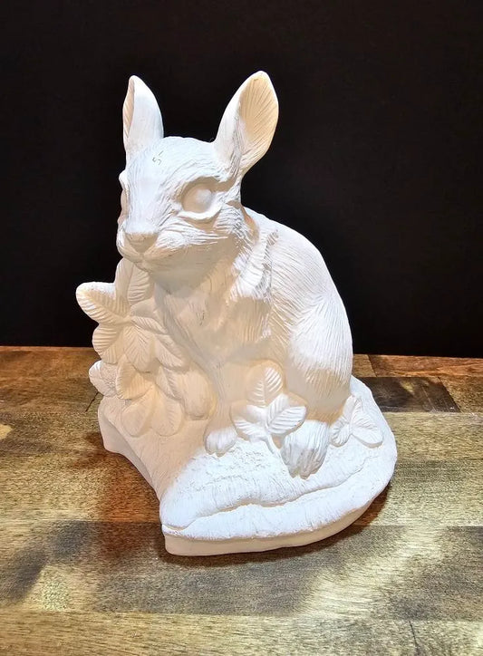 Bunny Garden