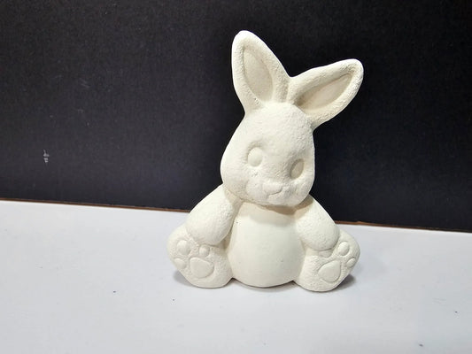 Bunny Buddy