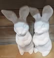 XXL Bunny