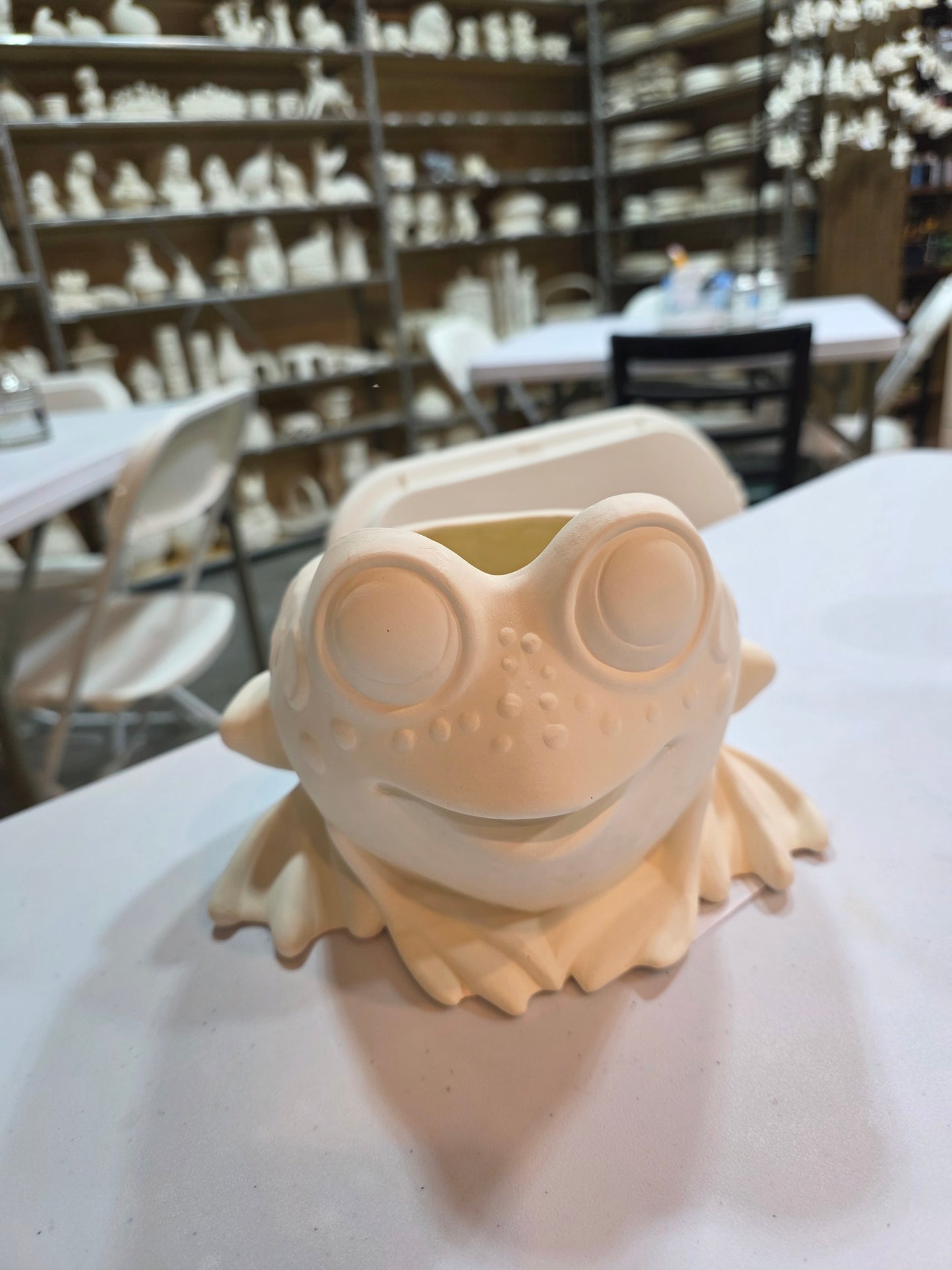 Frog Planter