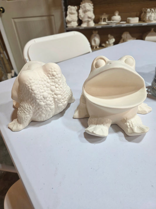 Wide Mouth Frog