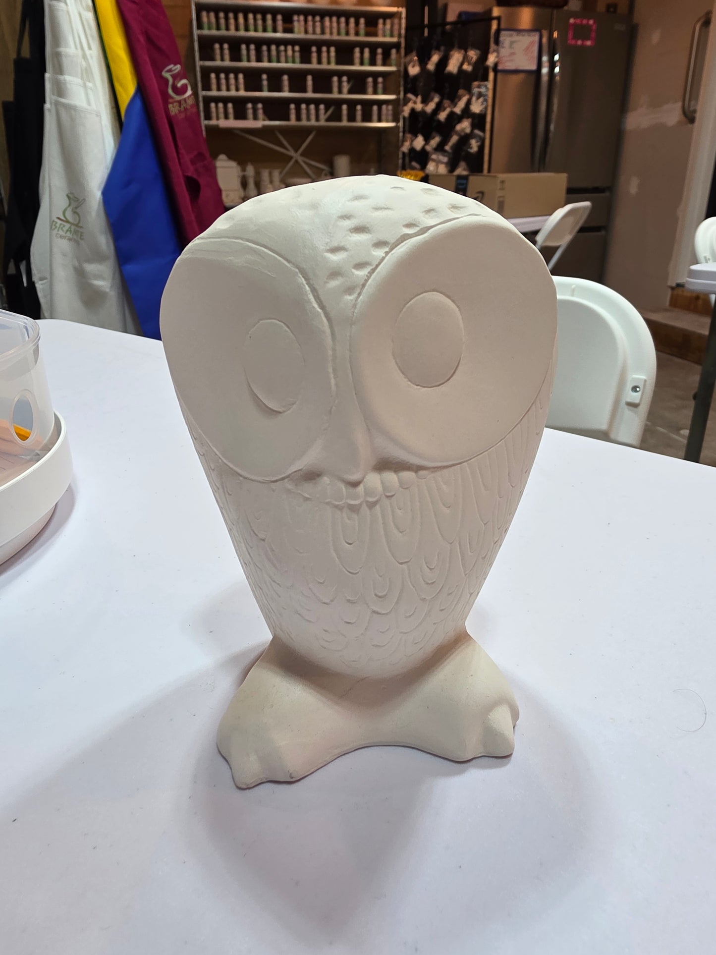 Snow Owl