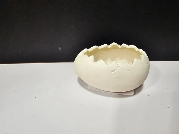 Cracked Dino Egg