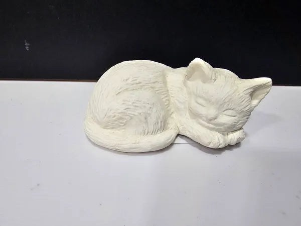 Sleeping Cat