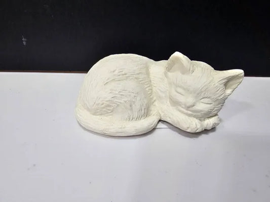 Sleeping Cat