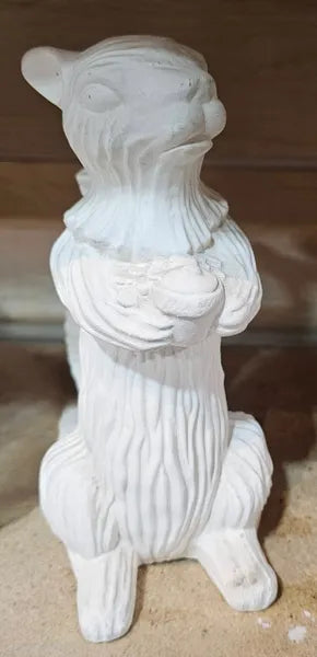 Rustic Squirrel